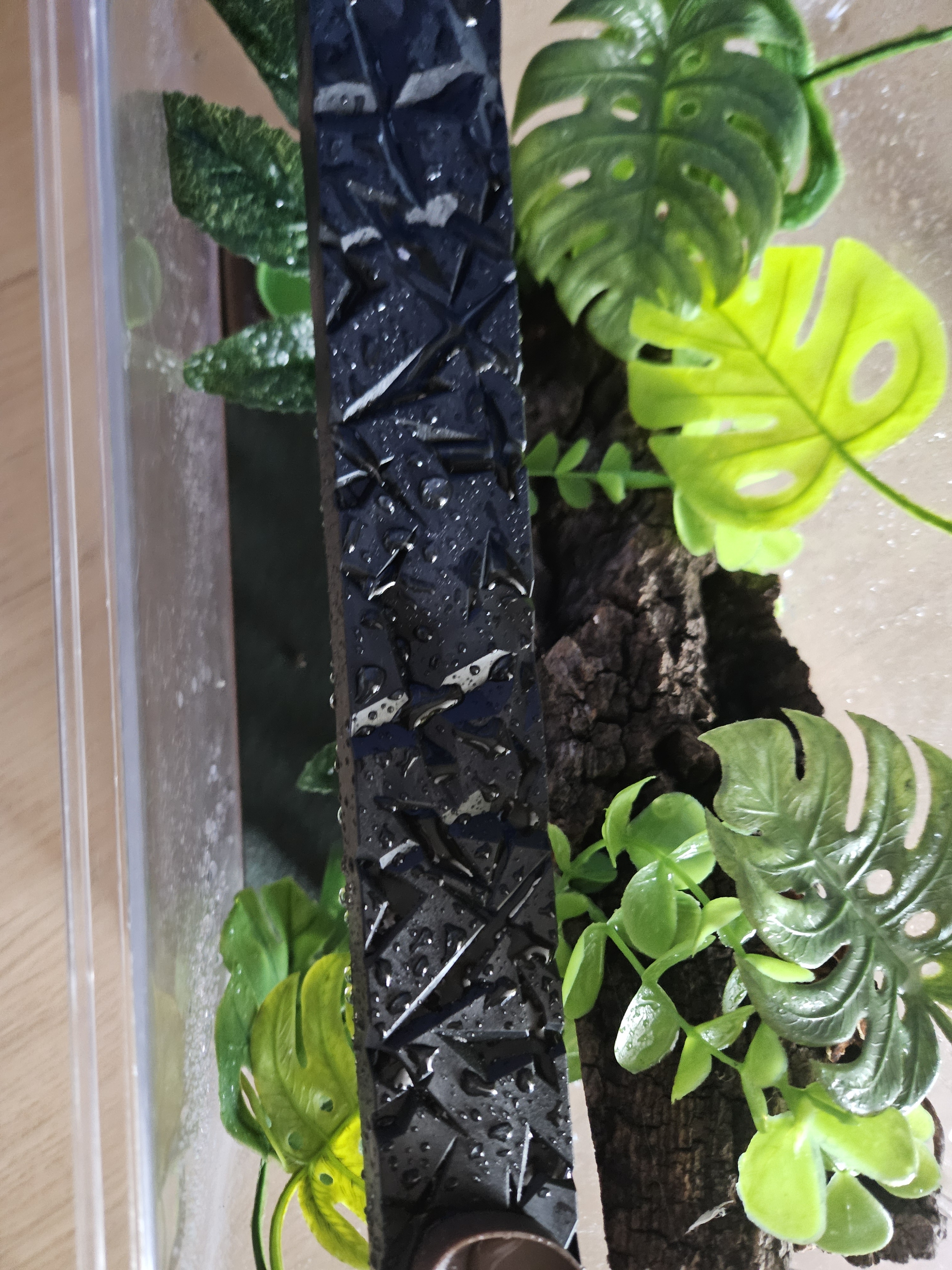 JIF 積み重ね式ケージ（大）専用 プラストーン プラットフォーム（ロングタイプ） detail 2