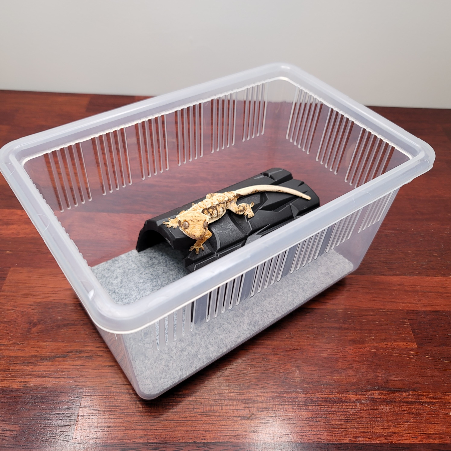 JIF プラストーン シェルター（小） detail 2