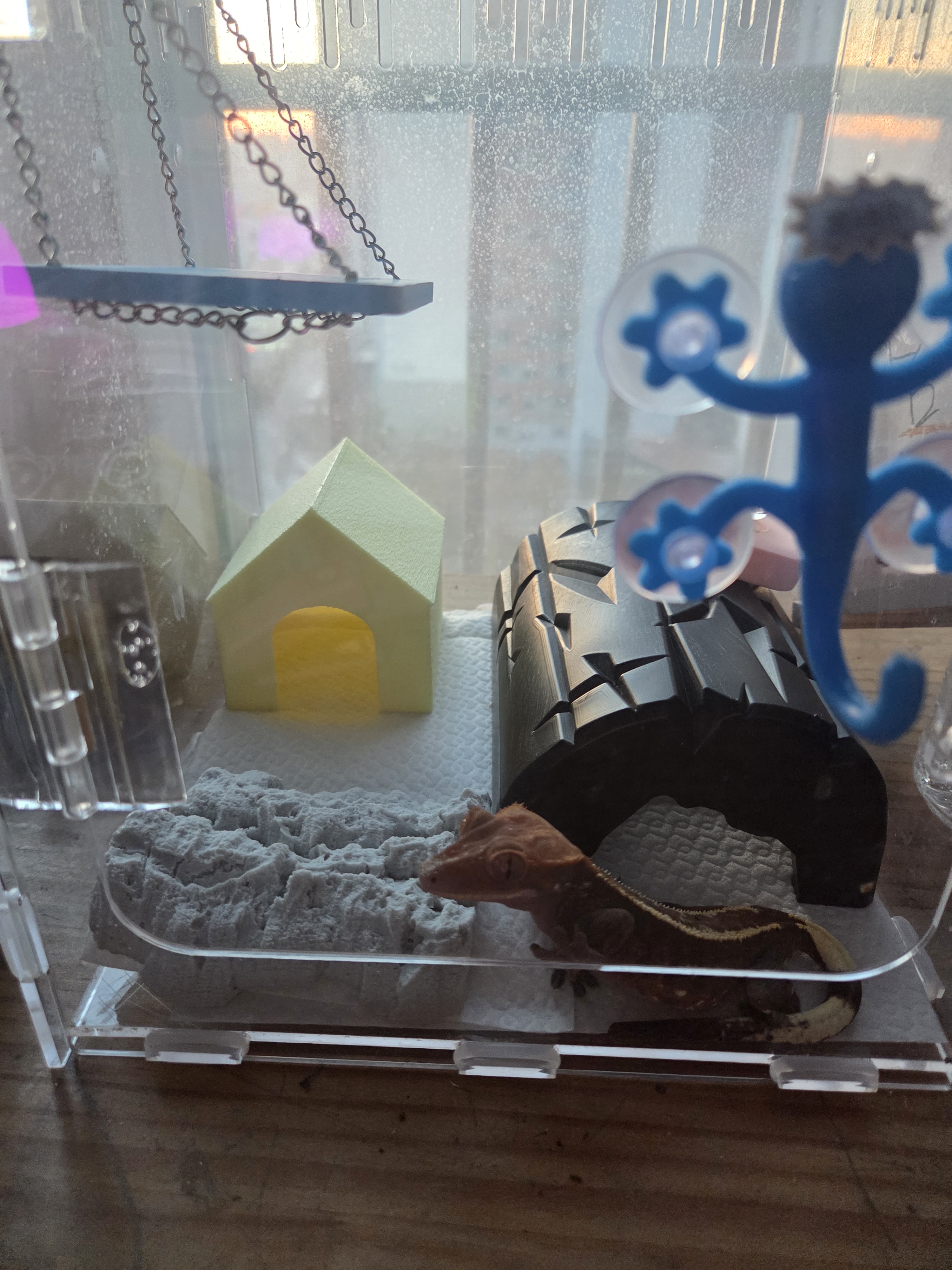 JIF プラストーン シェルター（小） detail 3