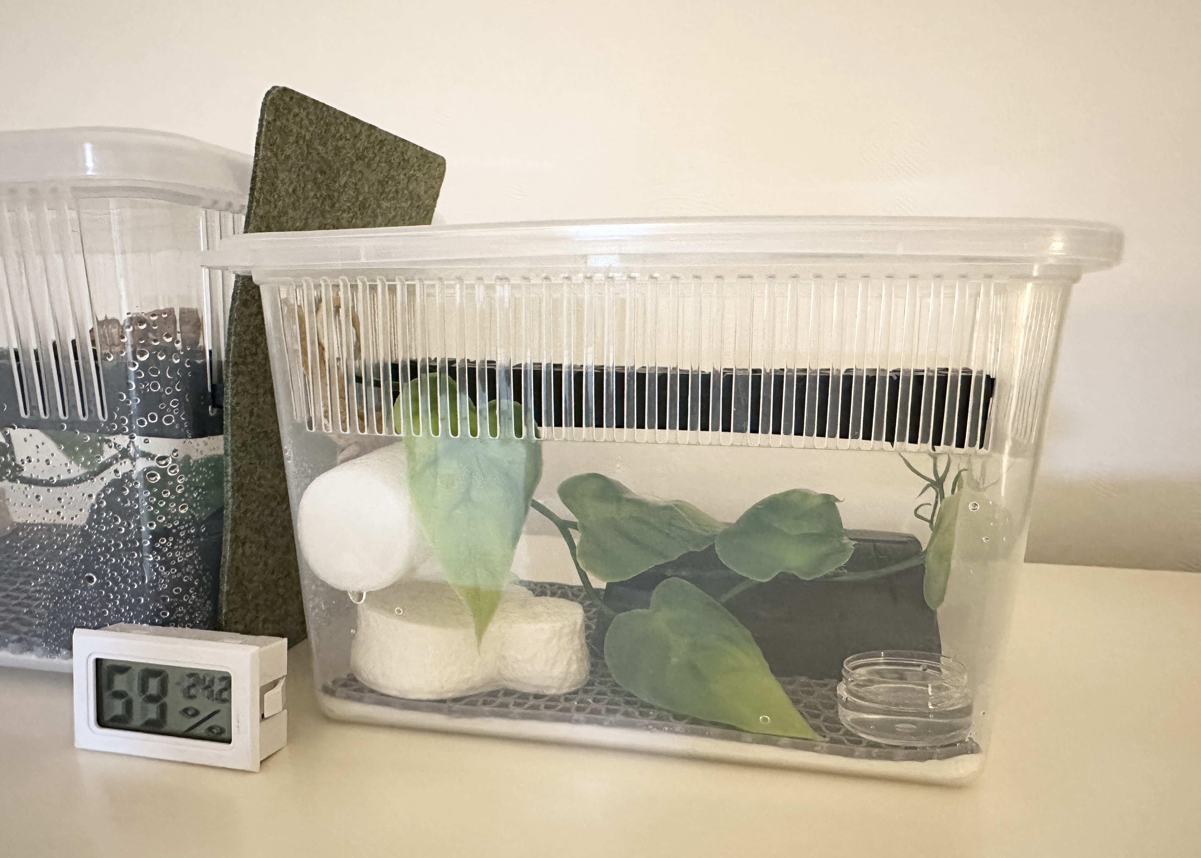 JIF 積み重ね式ケージ（小）専用 プラストン製プラットフォーム（ロングタイプ） detail 2