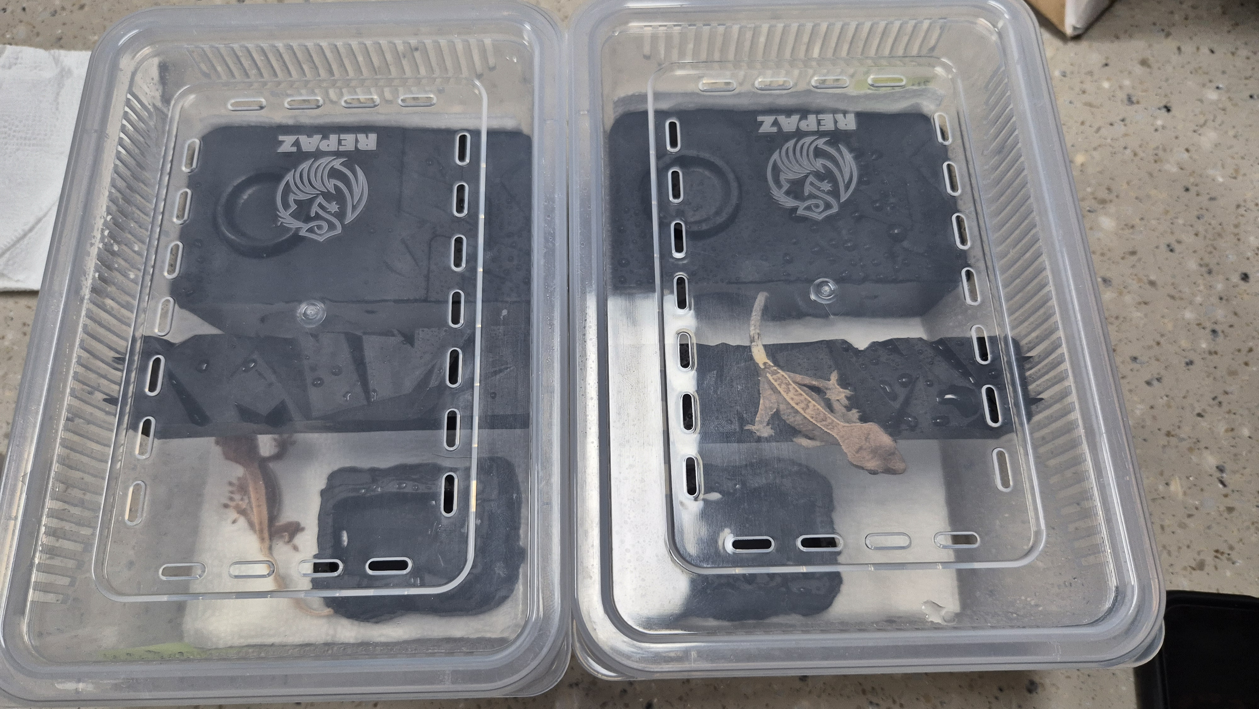 JIF積み重ね式ケージ（小）専用 固定式プラストーンシェルター detail 1