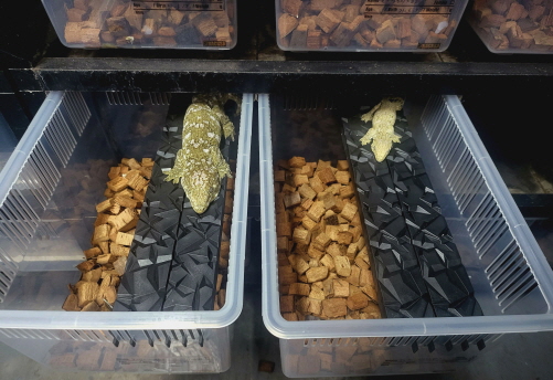 JIF 積み重ね式ケージ（特大）専用 プラストーン プラットフォーム（ロングタイプ） detail 3