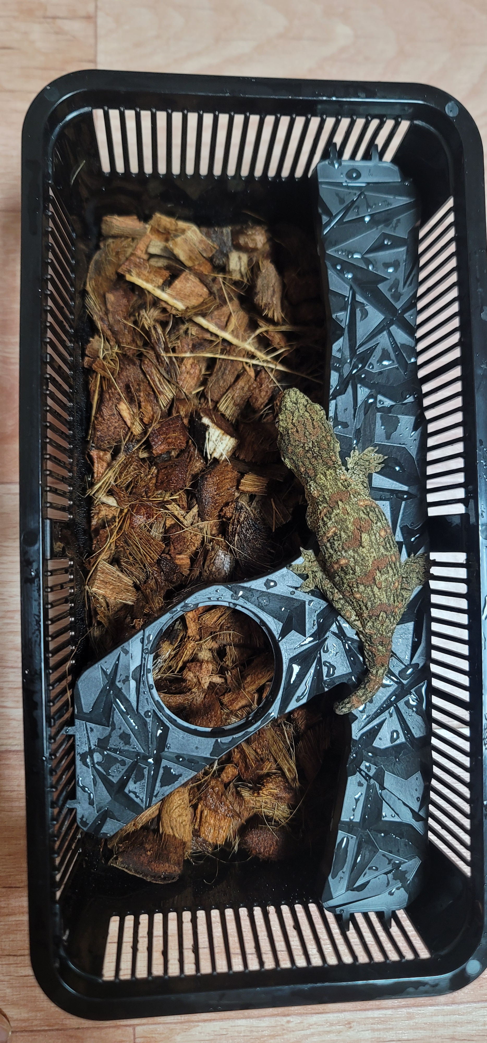 JIF 積み重ね式ケージ（中・小）専用 Y プラストーン フィーディングレッジ detail 3