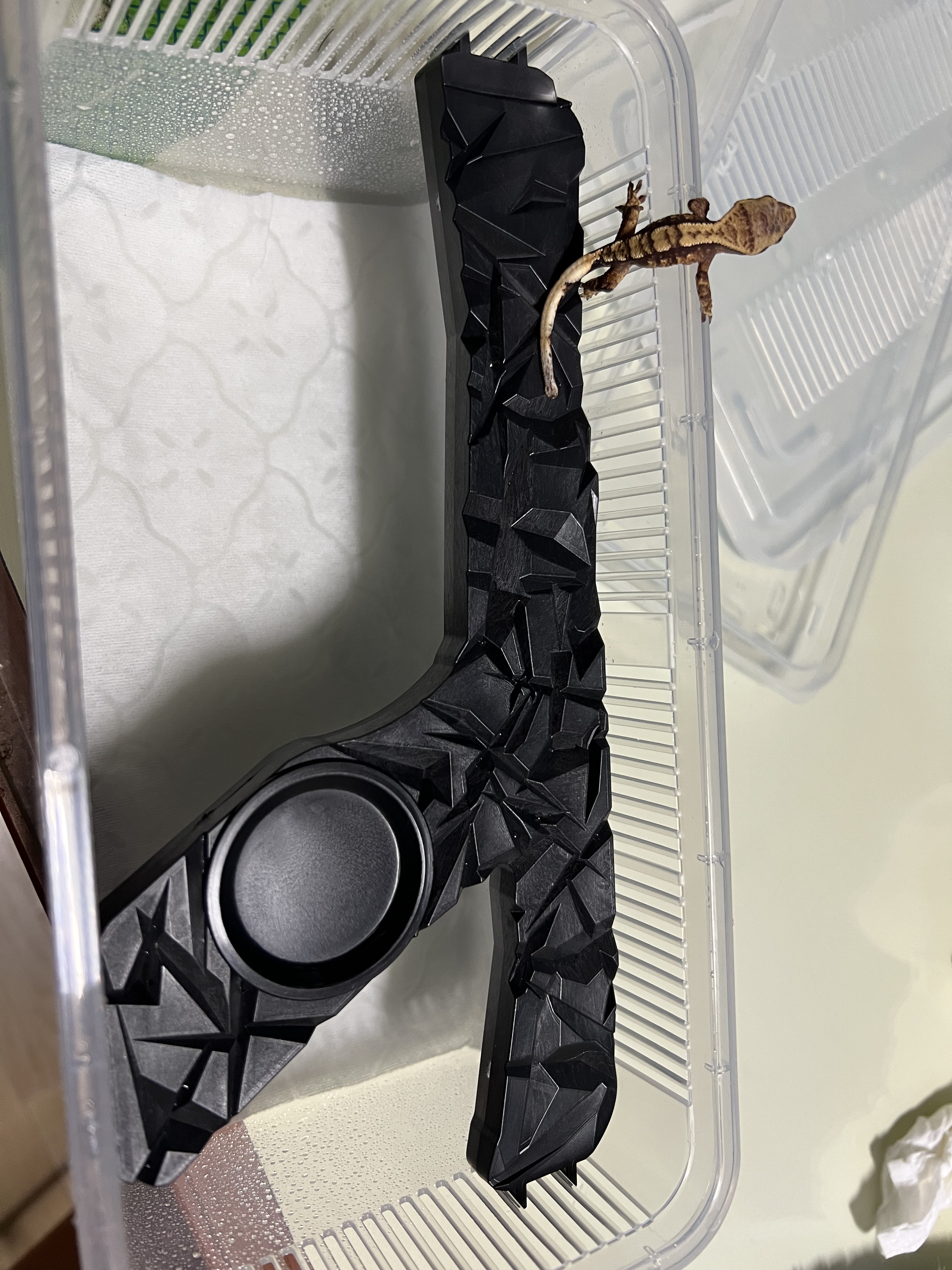 JIF 積み重ね式ケージ（中・小）専用 Y プラストーン フィーディングレッジ detail 4