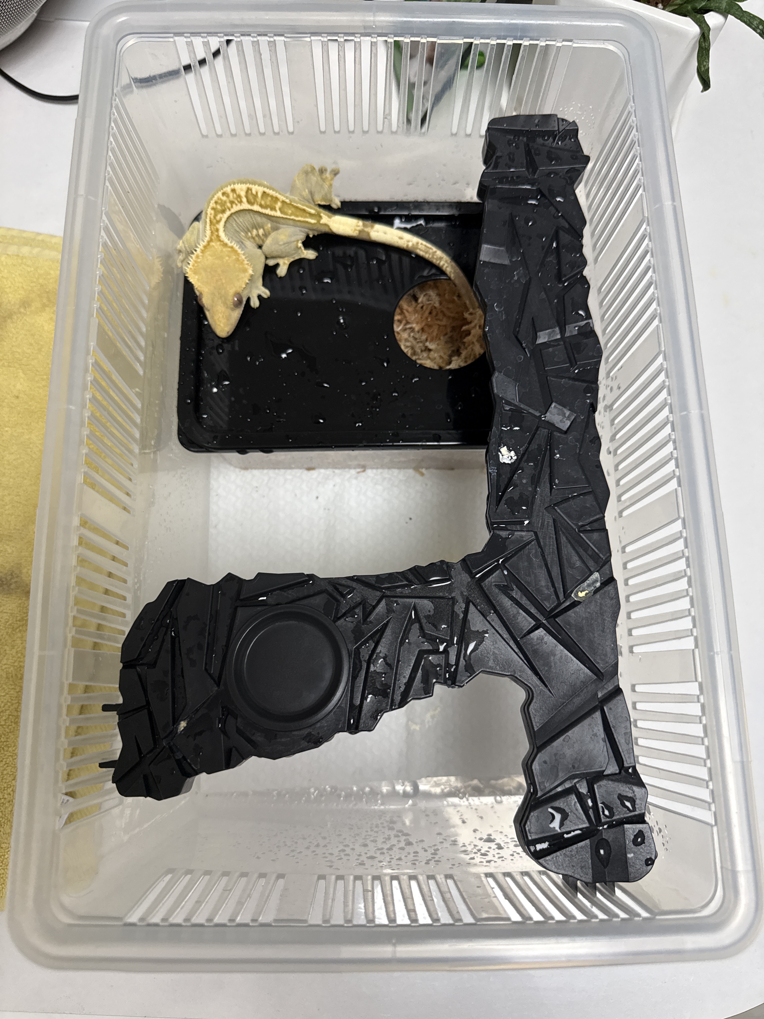 JIF 積み重ね式ケージ（大）専用 Y型 プラストーンプラットフォーム detail 2