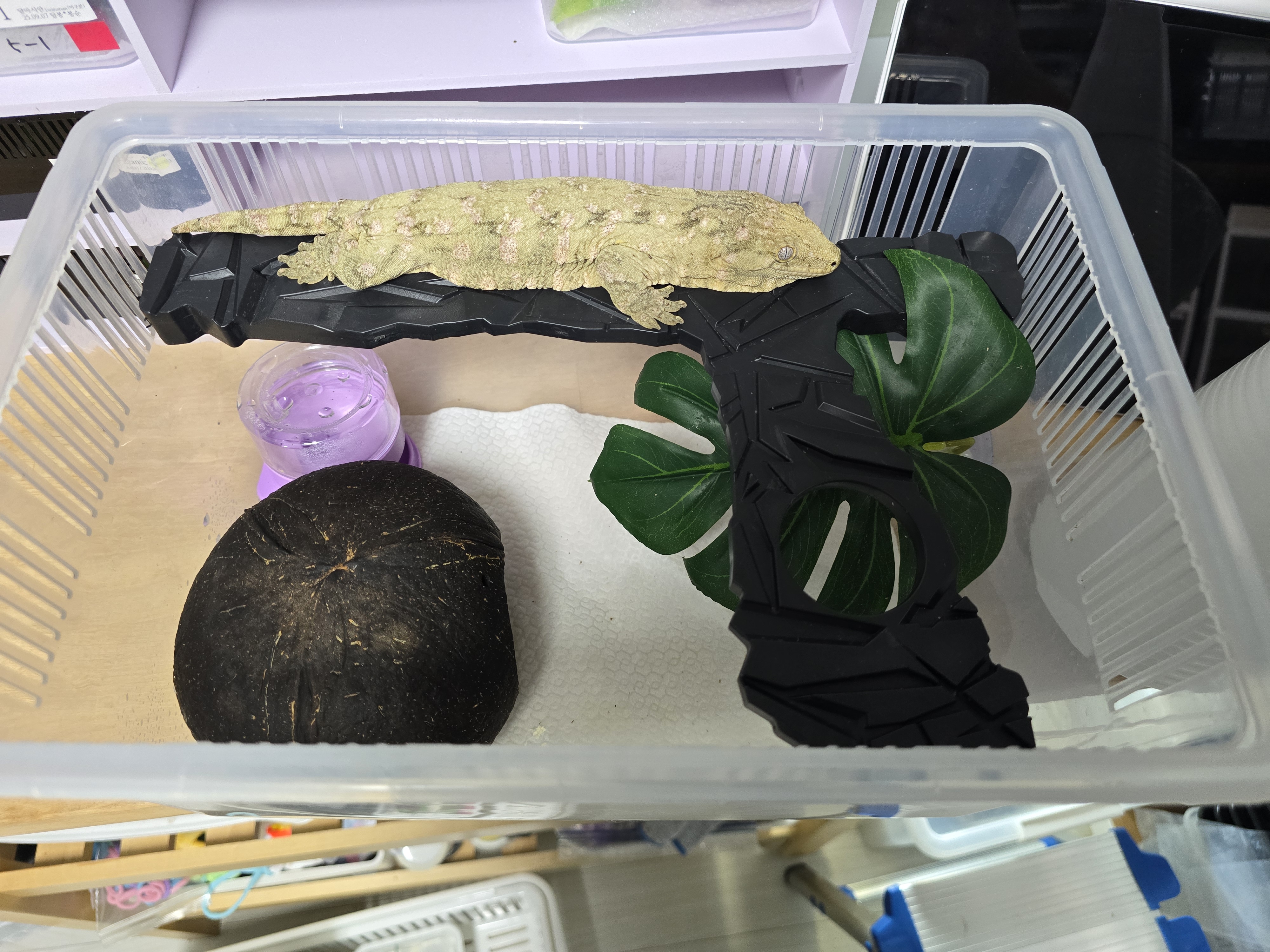 JIF 積み重ね式ケージ（大）専用 Y型 プラストーンプラットフォーム detail 3