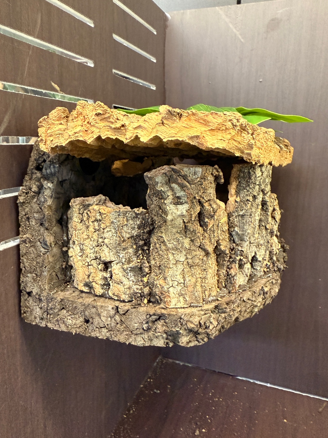 テラブロック ビッグログ「ペンション」シェルター detail 2