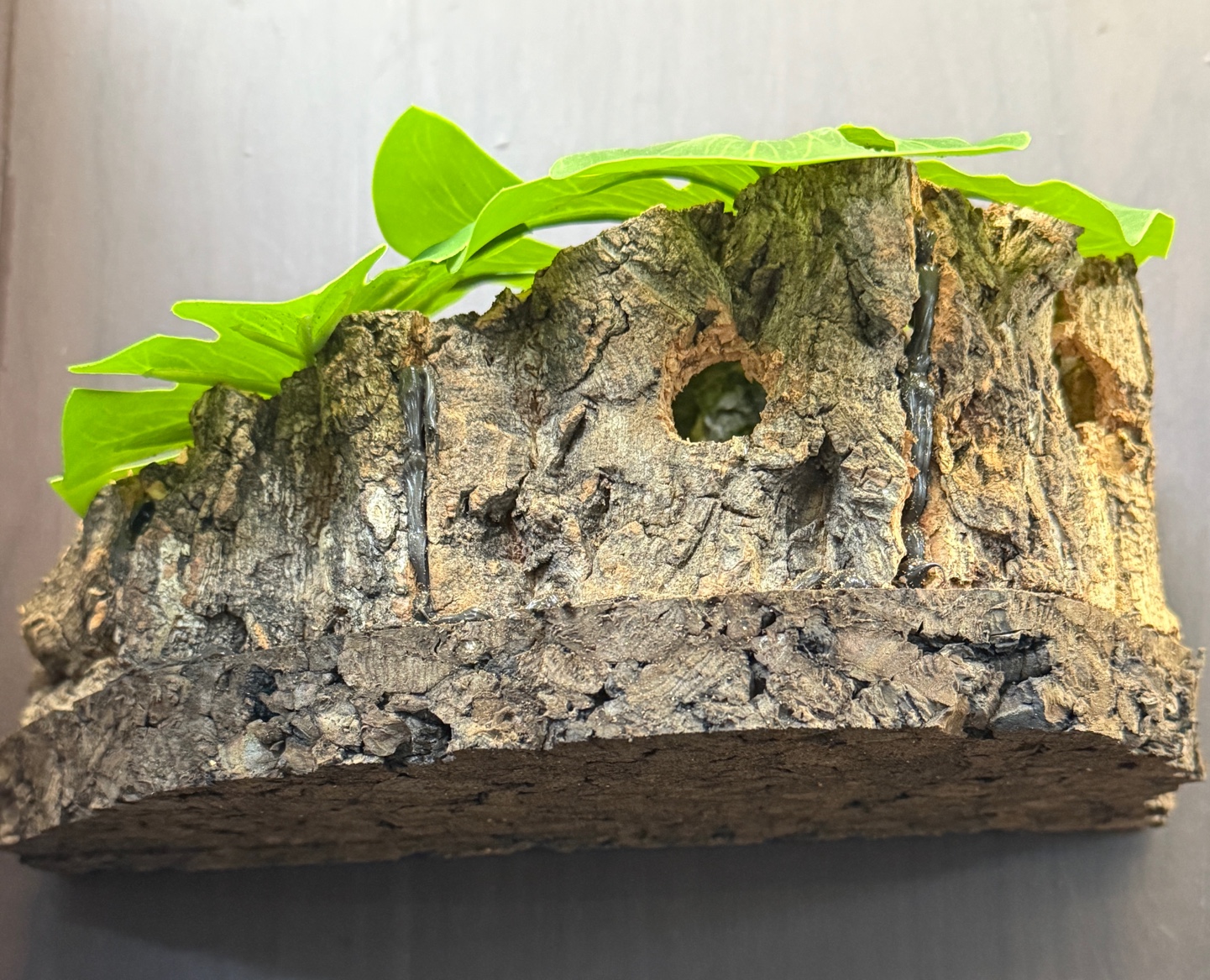 テラブロック 流木ログハウスシェルター detail 1