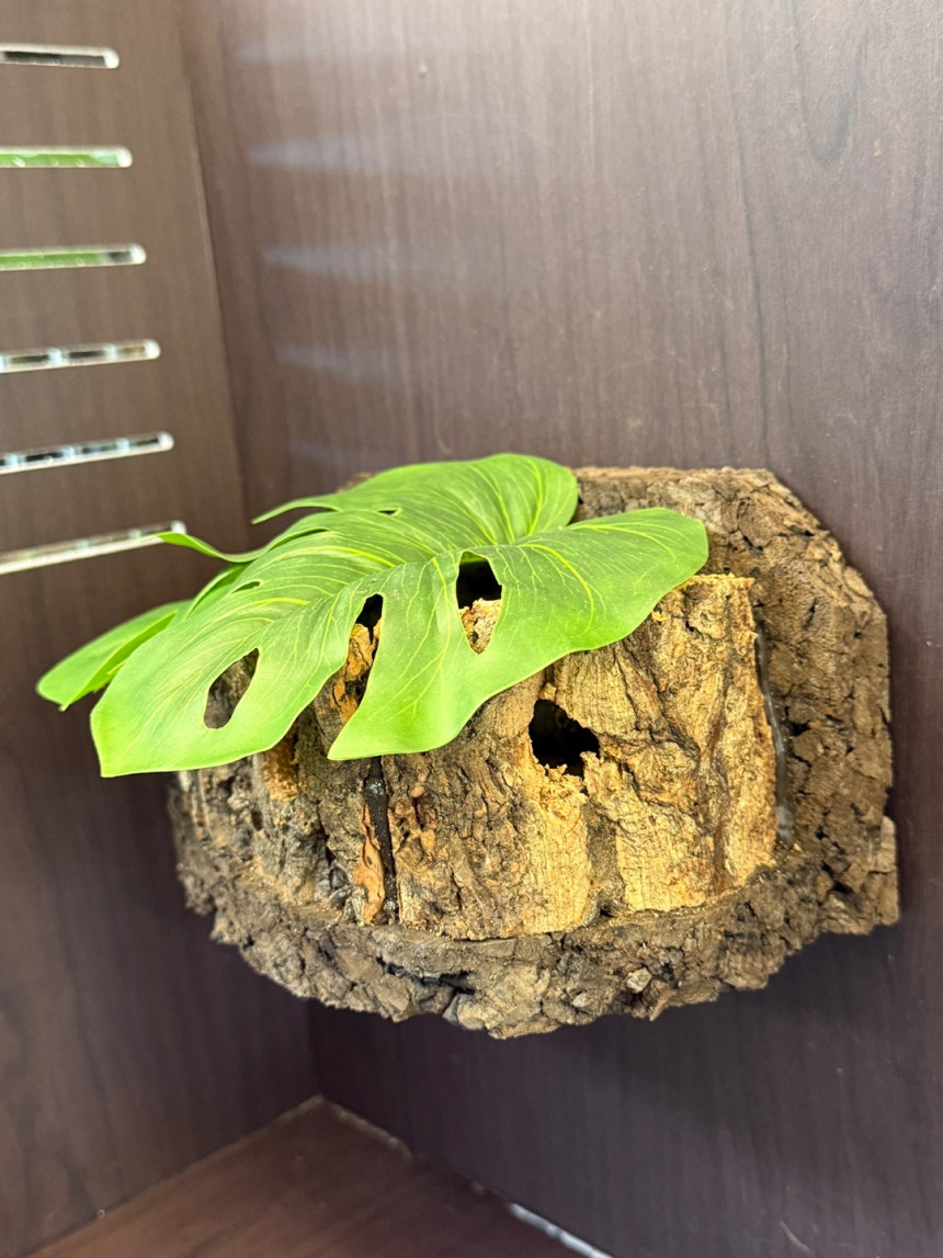 テラブロック 流木ログハウスシェルター detail 3