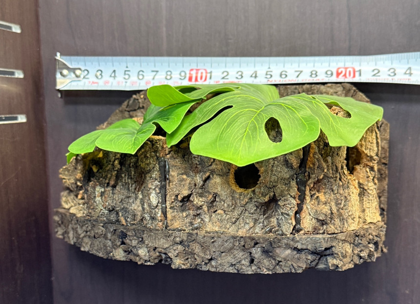 テラブロック 流木ログハウスシェルター detail 4