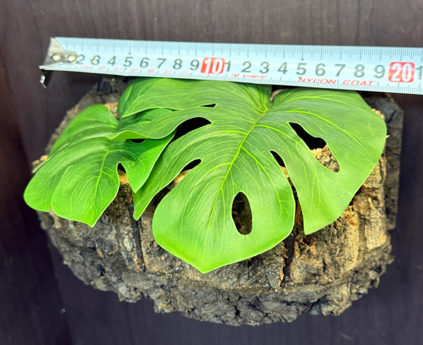 テラブロック 流木ログハウスシェルター detail 6