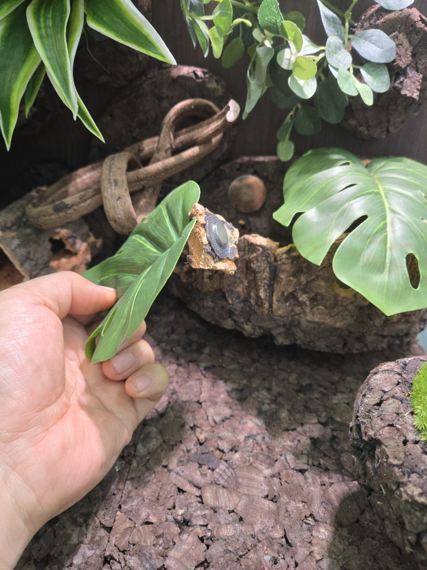 テラブロック 流木ログハウスシェルター detail 8