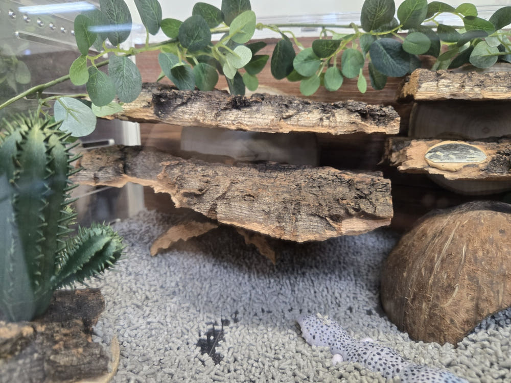 Terrablock Cork Tunnel Hide & Walkway detail 3