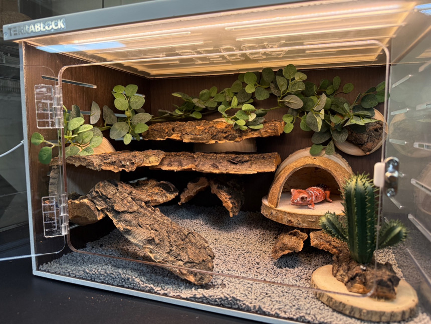 Terrablock Cork Tunnel Hide & Walkway detail 4