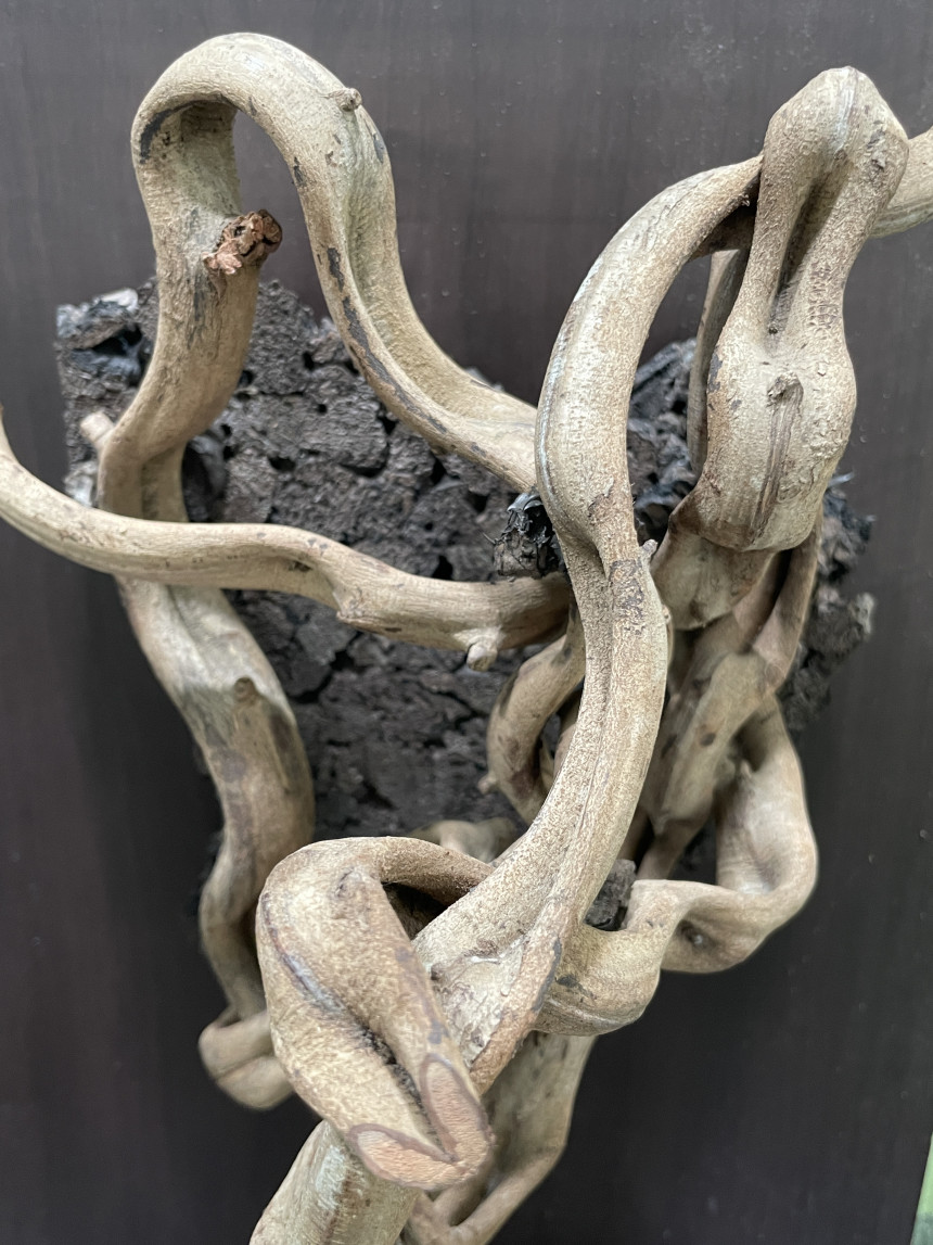 Terrablock Jungle Gym Vine Cork Block (Medium) detail 1