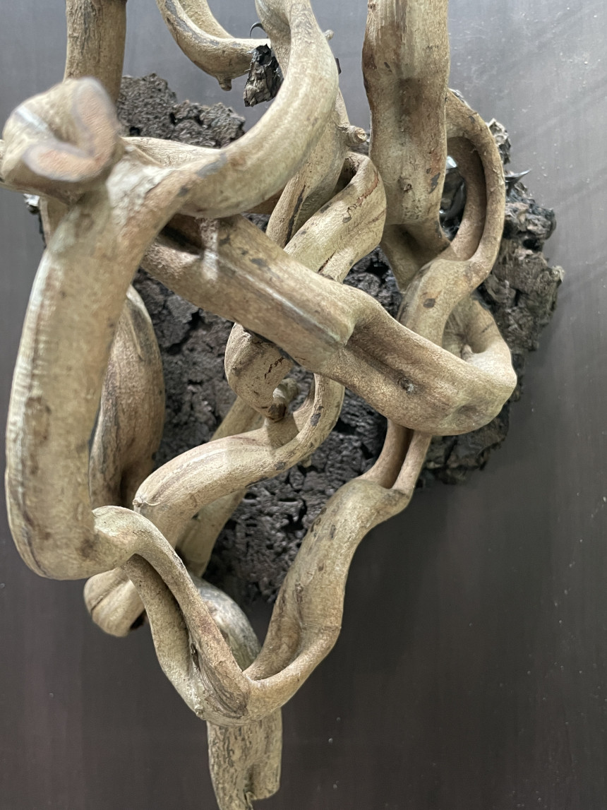 Terrablock Jungle Gym Vine Cork Block (Medium) detail 2