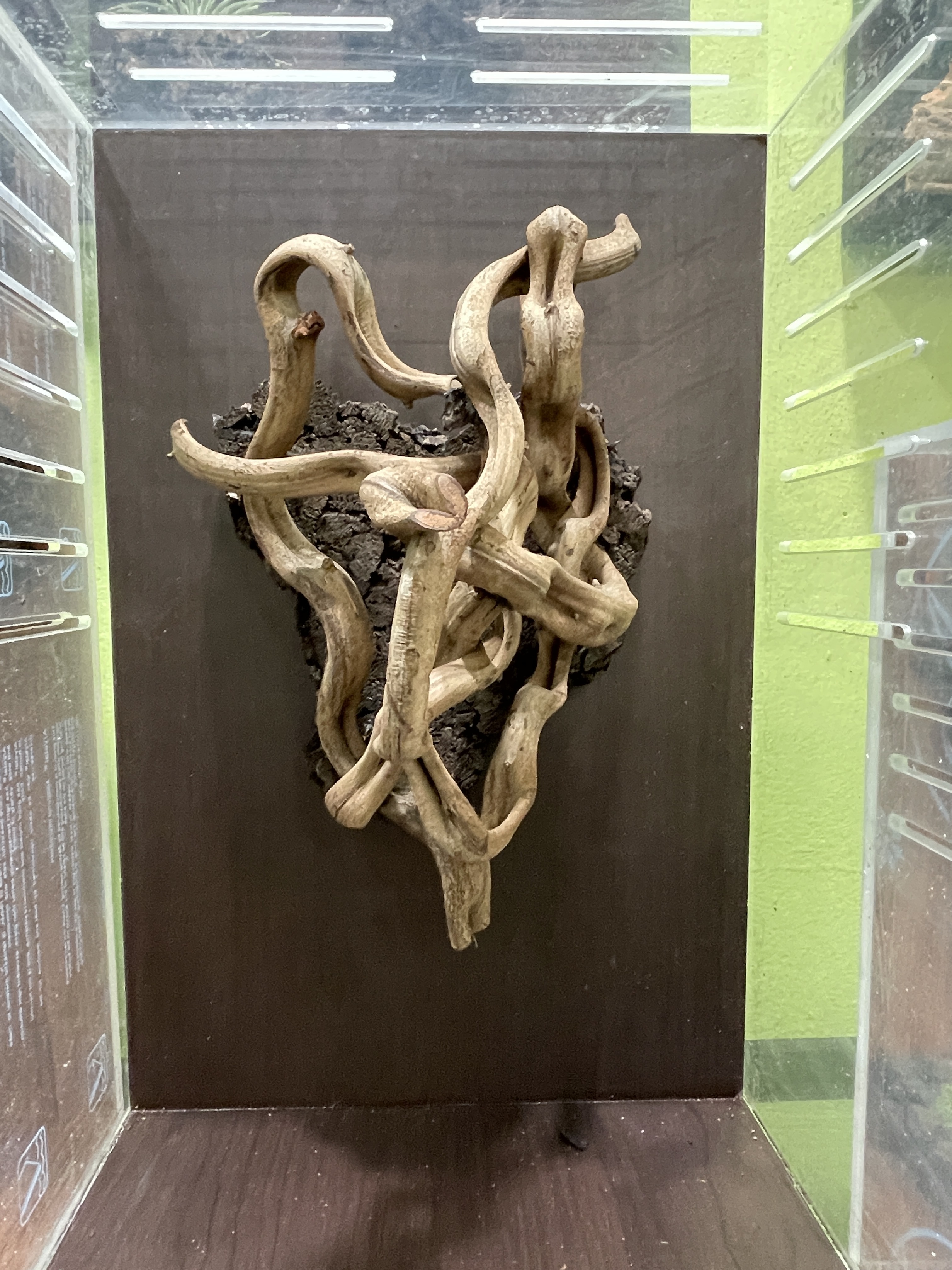 Terrablock Jungle Gym Vine Cork Block (Medium) detail 3