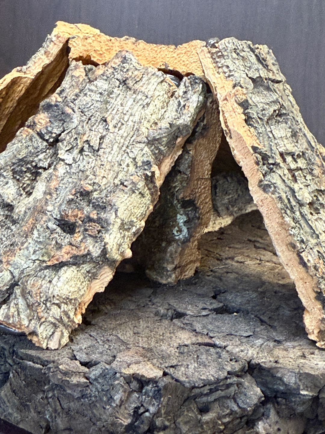 テラブロック 十字ウッドヒルシェルター detail 4