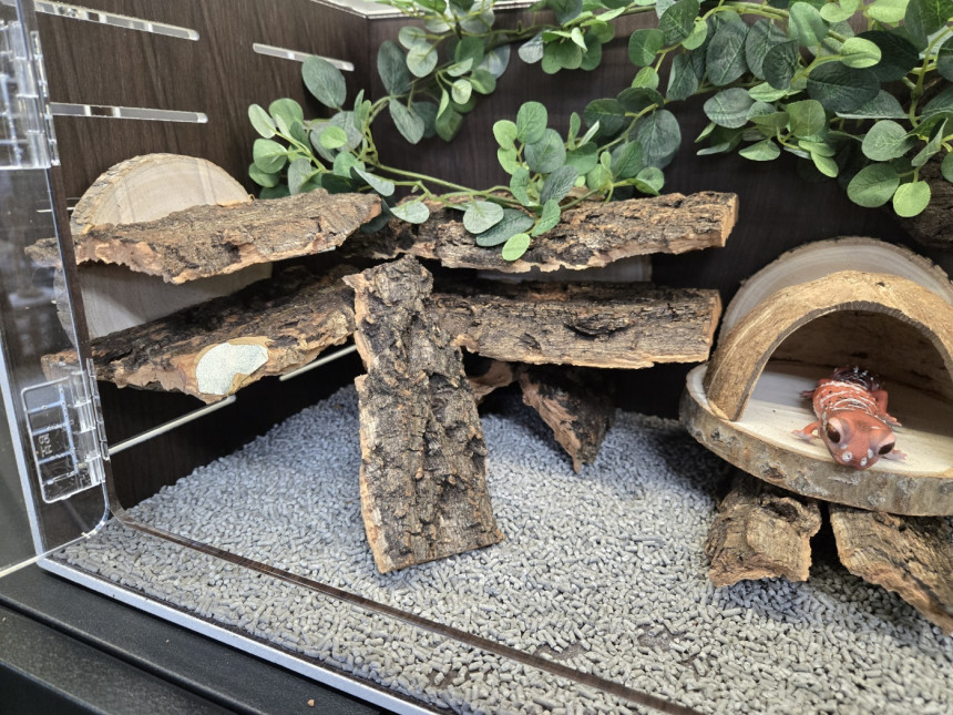 Terrablock Coconut Room Hide detail 1