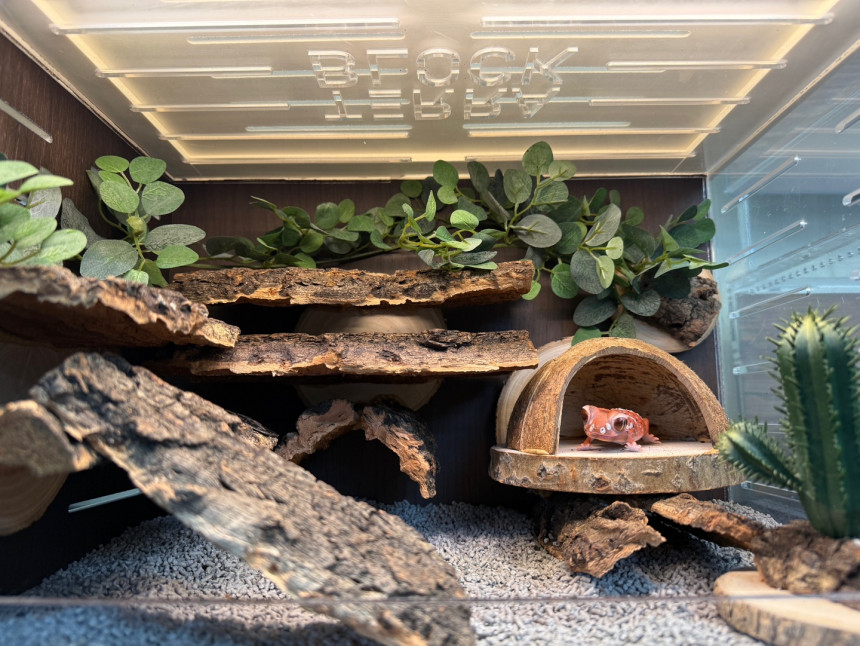 Terrablock Coconut Room Hide detail 2