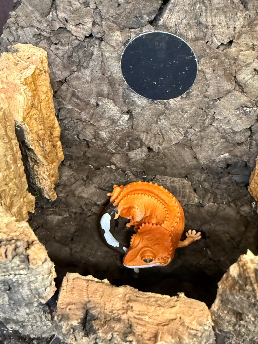 Terrablock Log Cabin Studio Hide detail 5