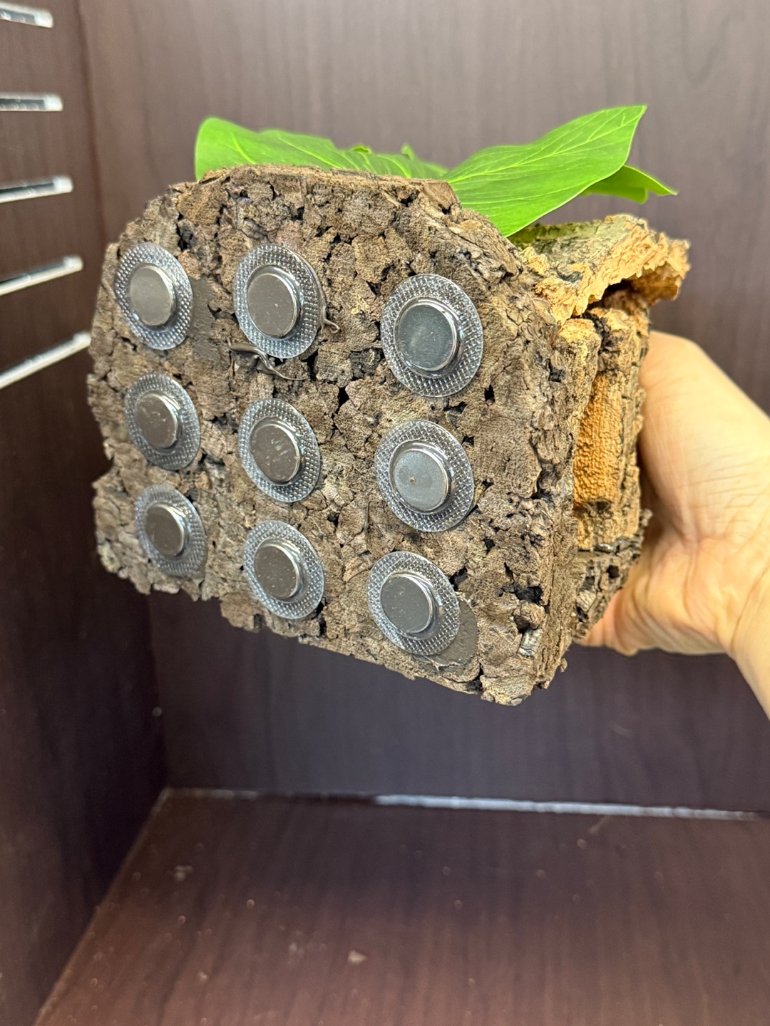 Terrablock Log Cabin Studio Hide detail 8