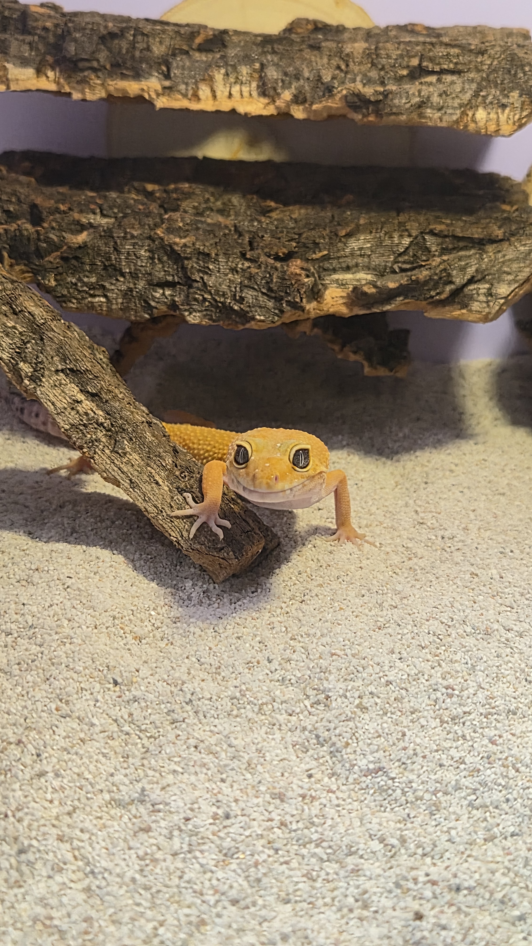 テラブロック 着脱式 スロープレッジ（オーバーハングレッジ） detail 1