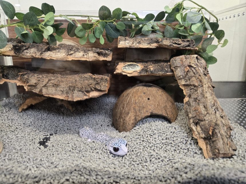 テラブロック 着脱式 スロープレッジ（オーバーハングレッジ） detail 4