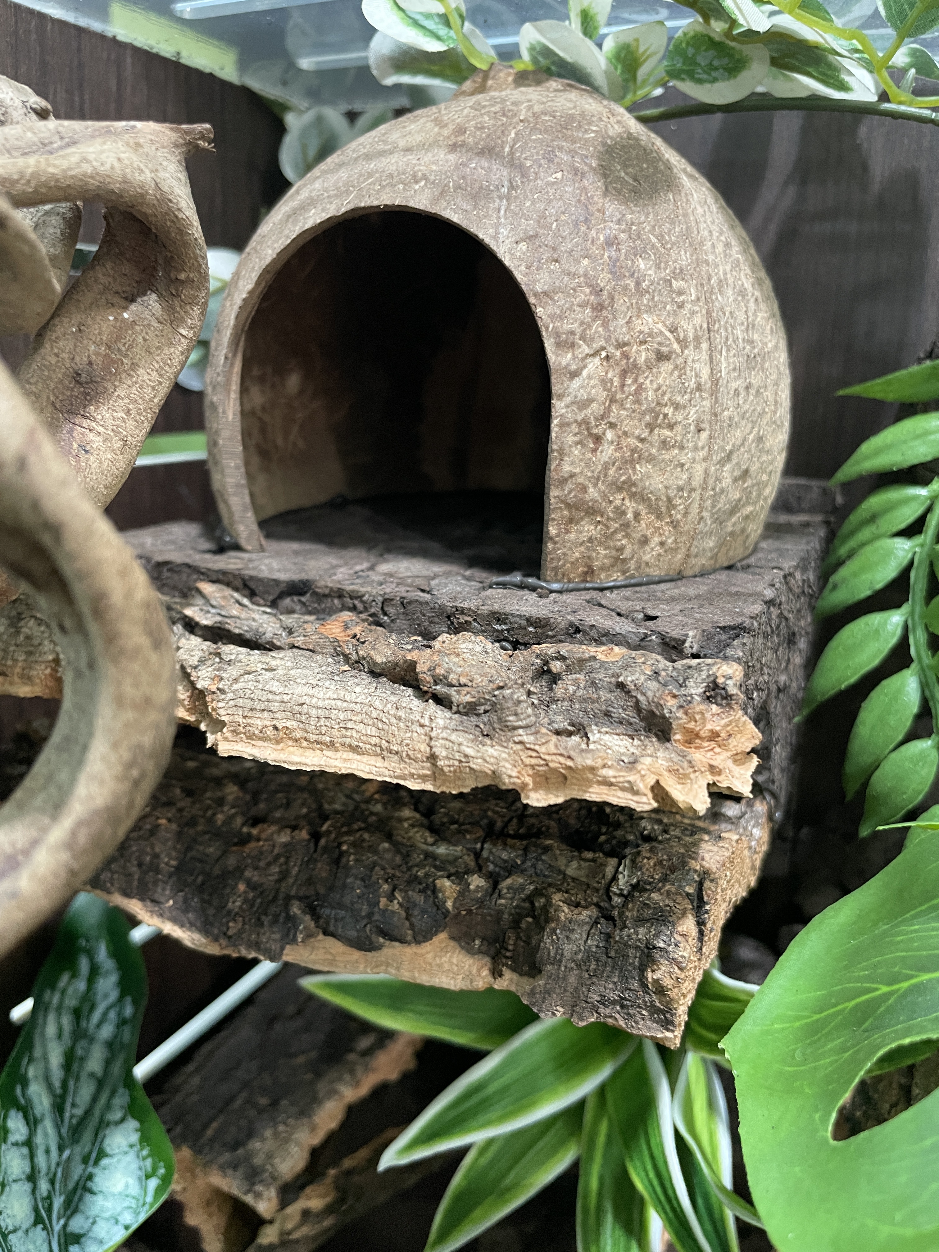 Terrablock Coconut Room (Cork Hide) detail 2