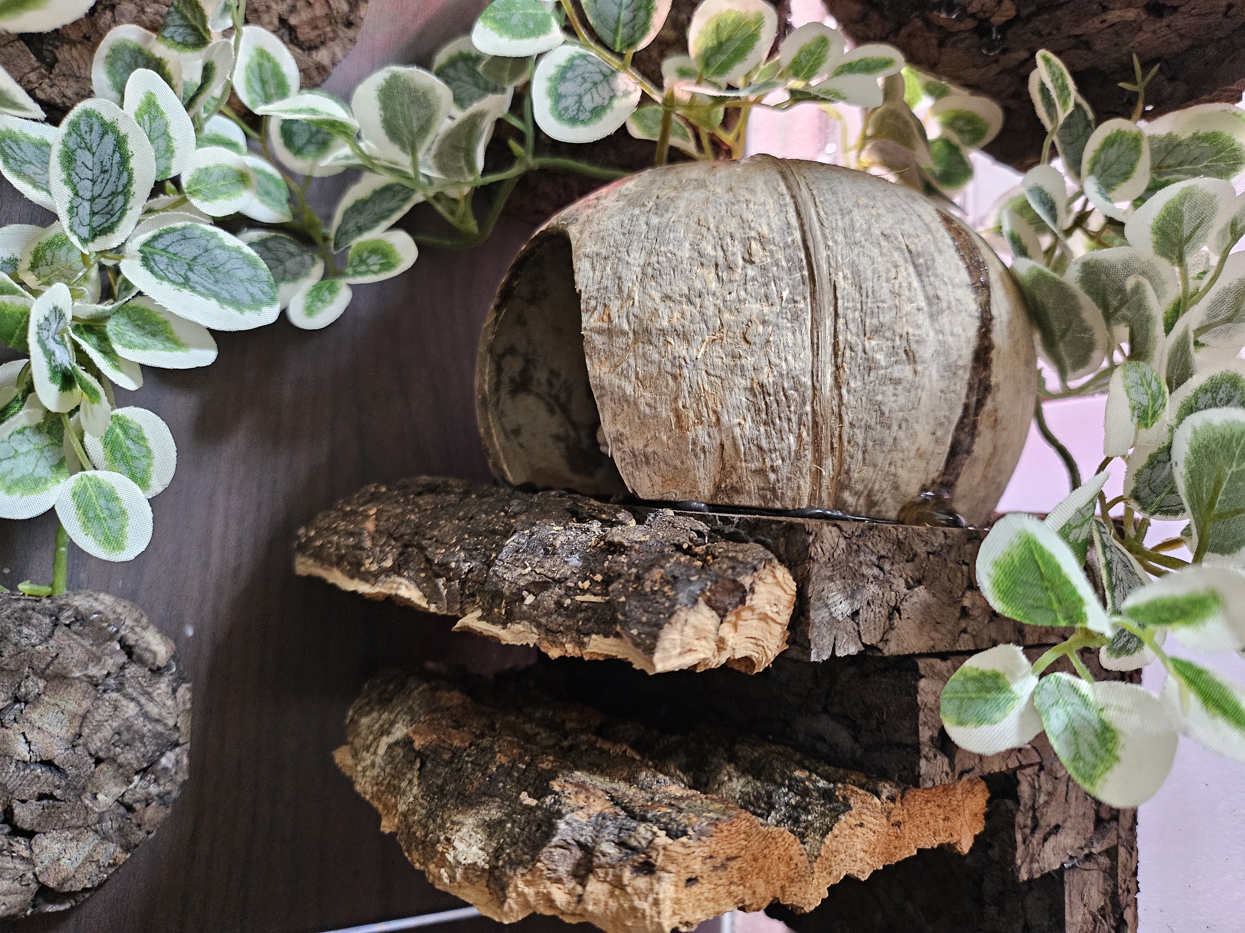 Terrablock Coconut Room (Cork Hide) detail 3