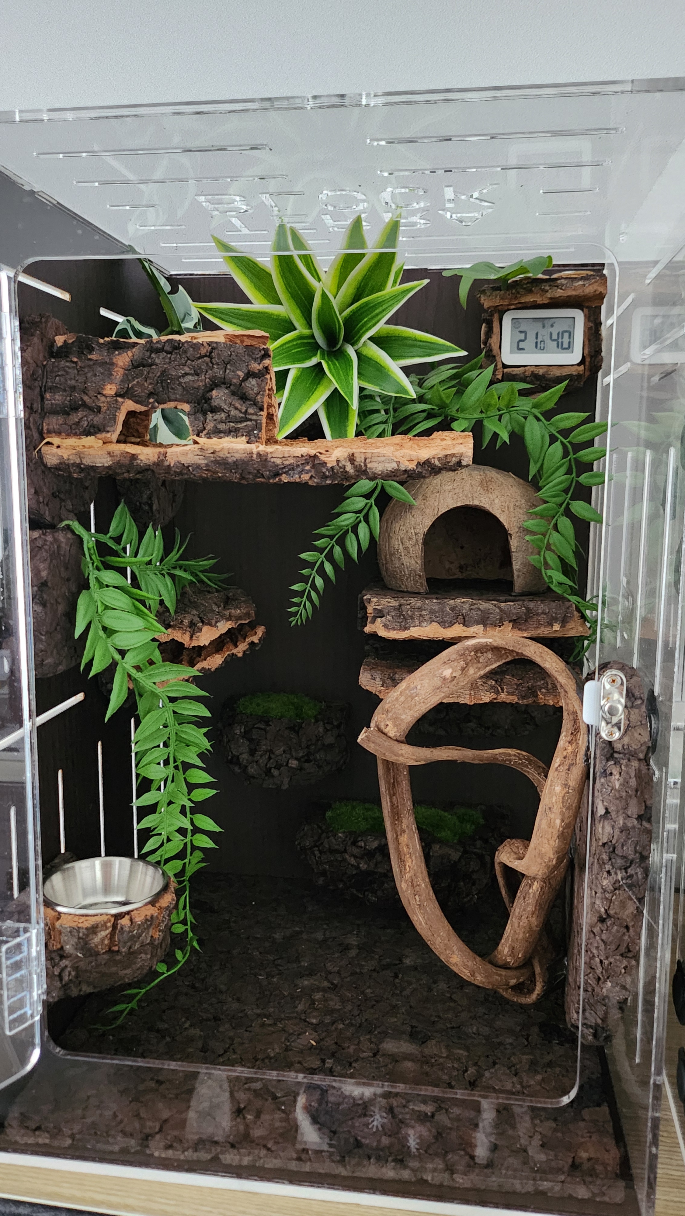 Terrablock Coconut Room (Cork Hide) detail 4