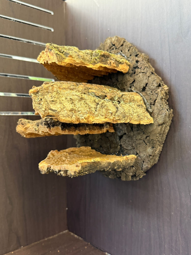 テラブロック 4段 コルクステップ（レッジ） detail 1