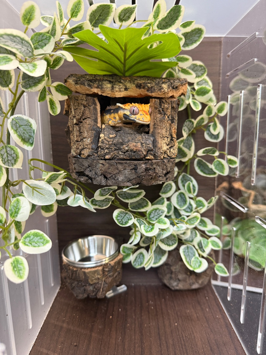 テラブロック 小型ログハウス型シェルター（ワンルームタイプ） detail 3