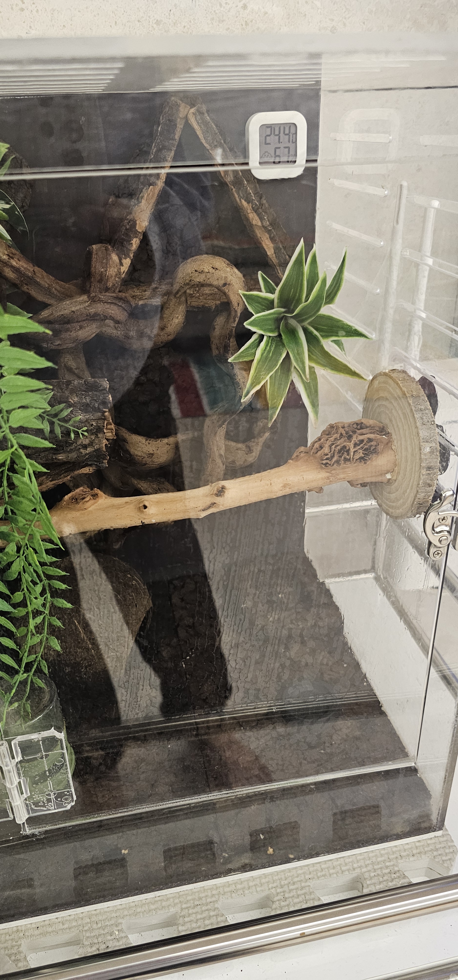 Terrablock Wood Line Horizontal Platform detail 5