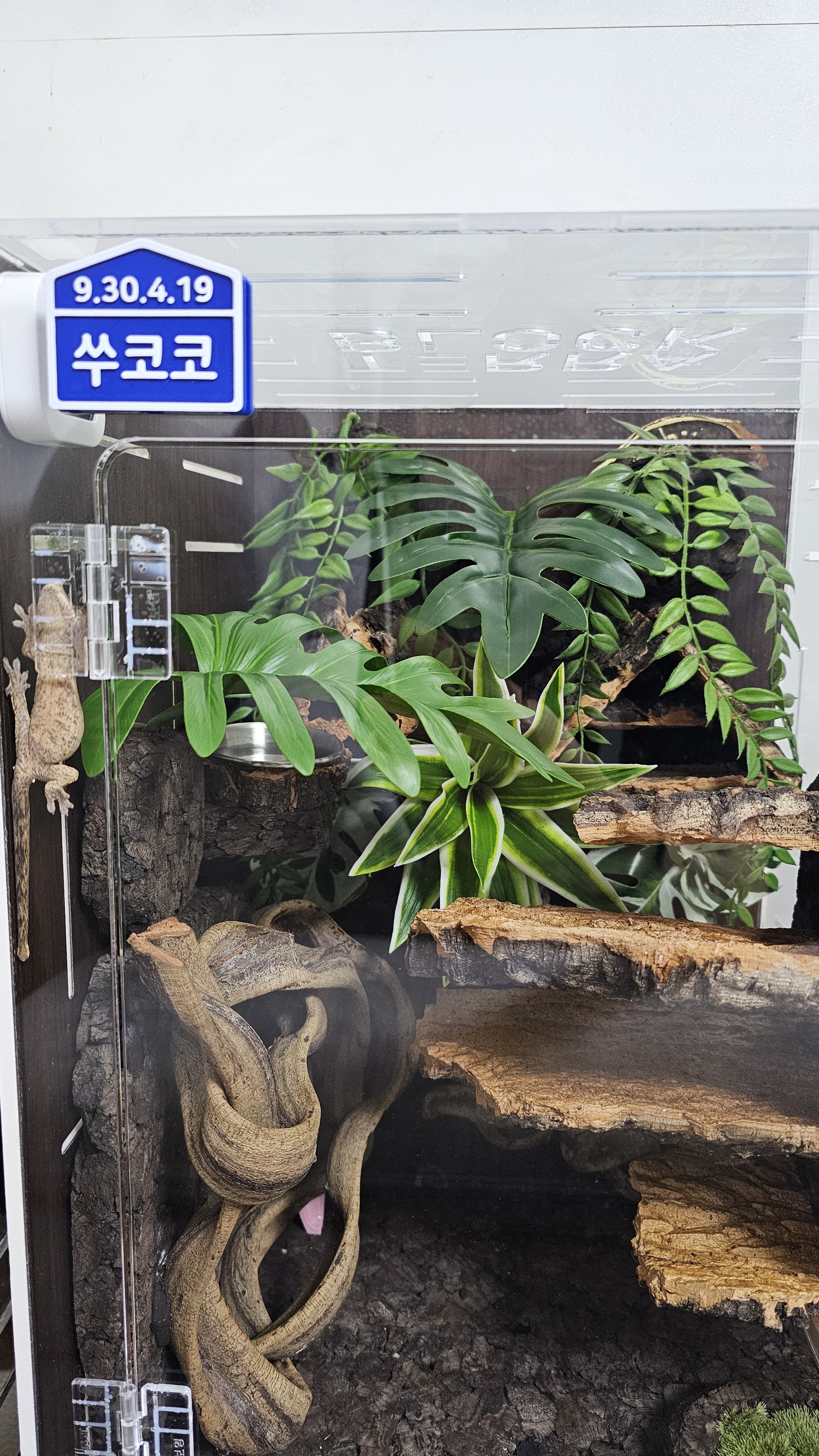 テラブロック コルク 隙間シェルター（隠れ家） detail 3