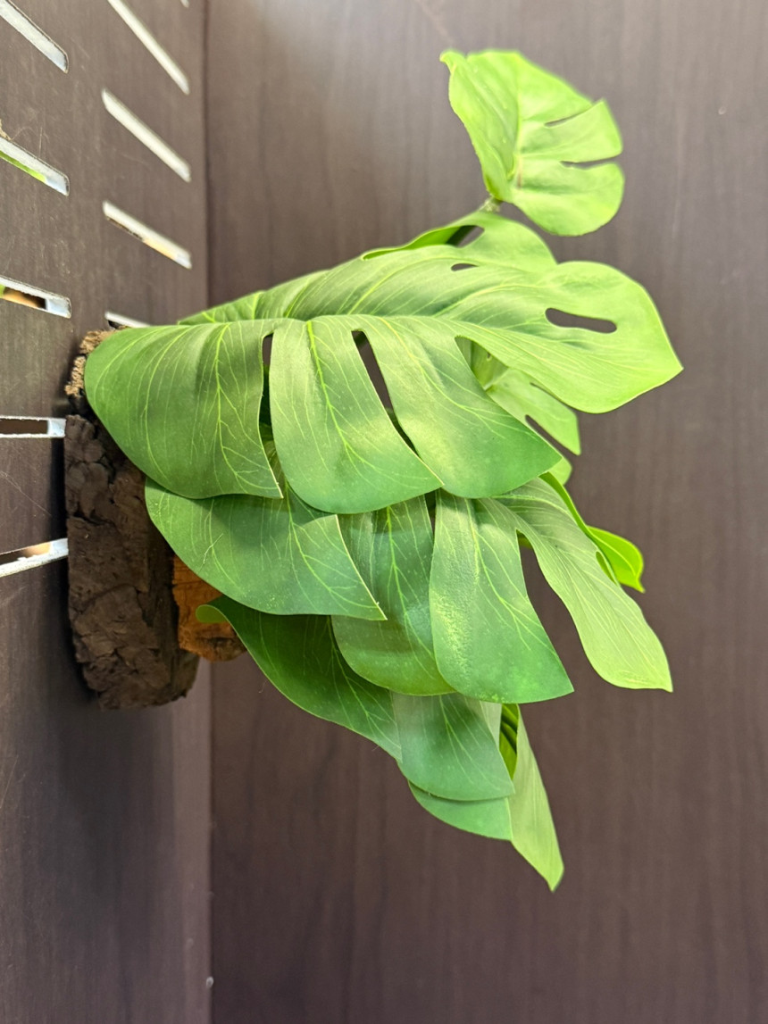 テラブロック モンステラ（6葉）人工レイアウトブロック detail 1