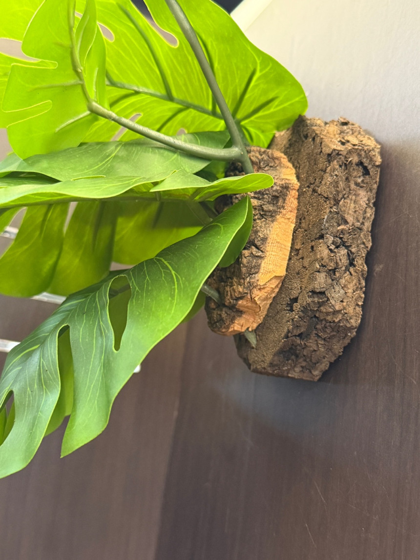 テラブロック モンステラ（6葉）人工レイアウトブロック detail 2