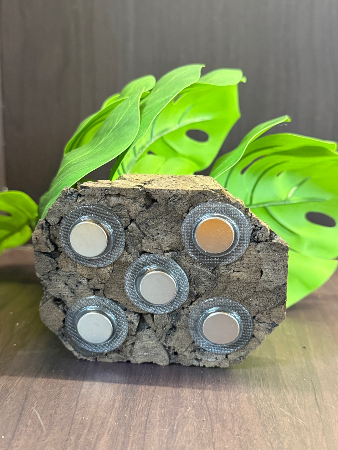 テラブロック モンステラ（6葉）人工レイアウトブロック detail 3