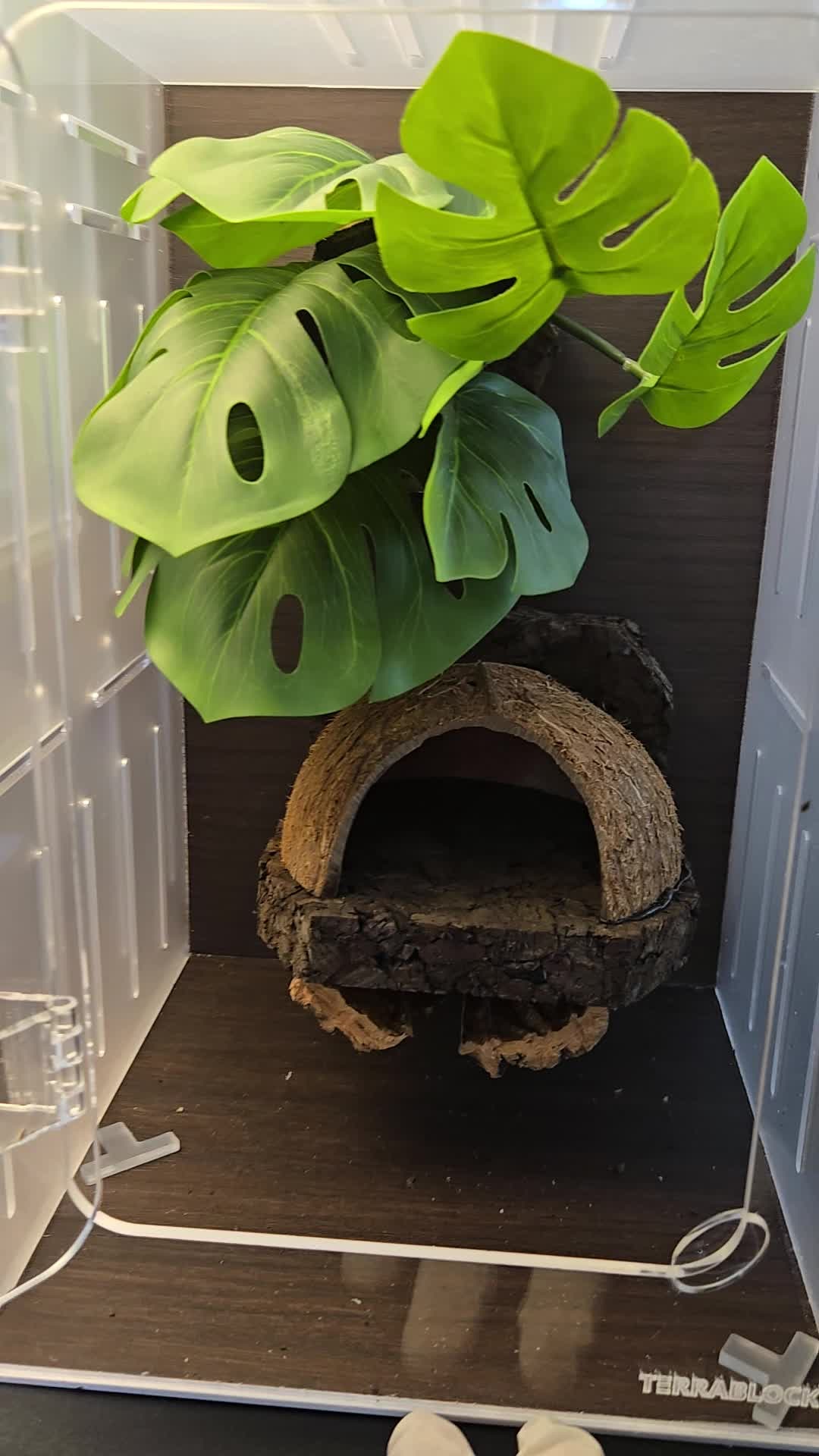 テラブロック モンステラ（6葉）人工レイアウトブロック detail 4