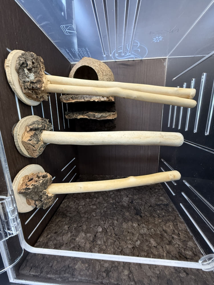 Terrablock Woodline Double Branch Platform detail 3