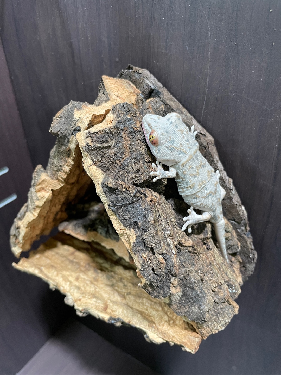 Terrablock Triangle Pension Hideout detail 2