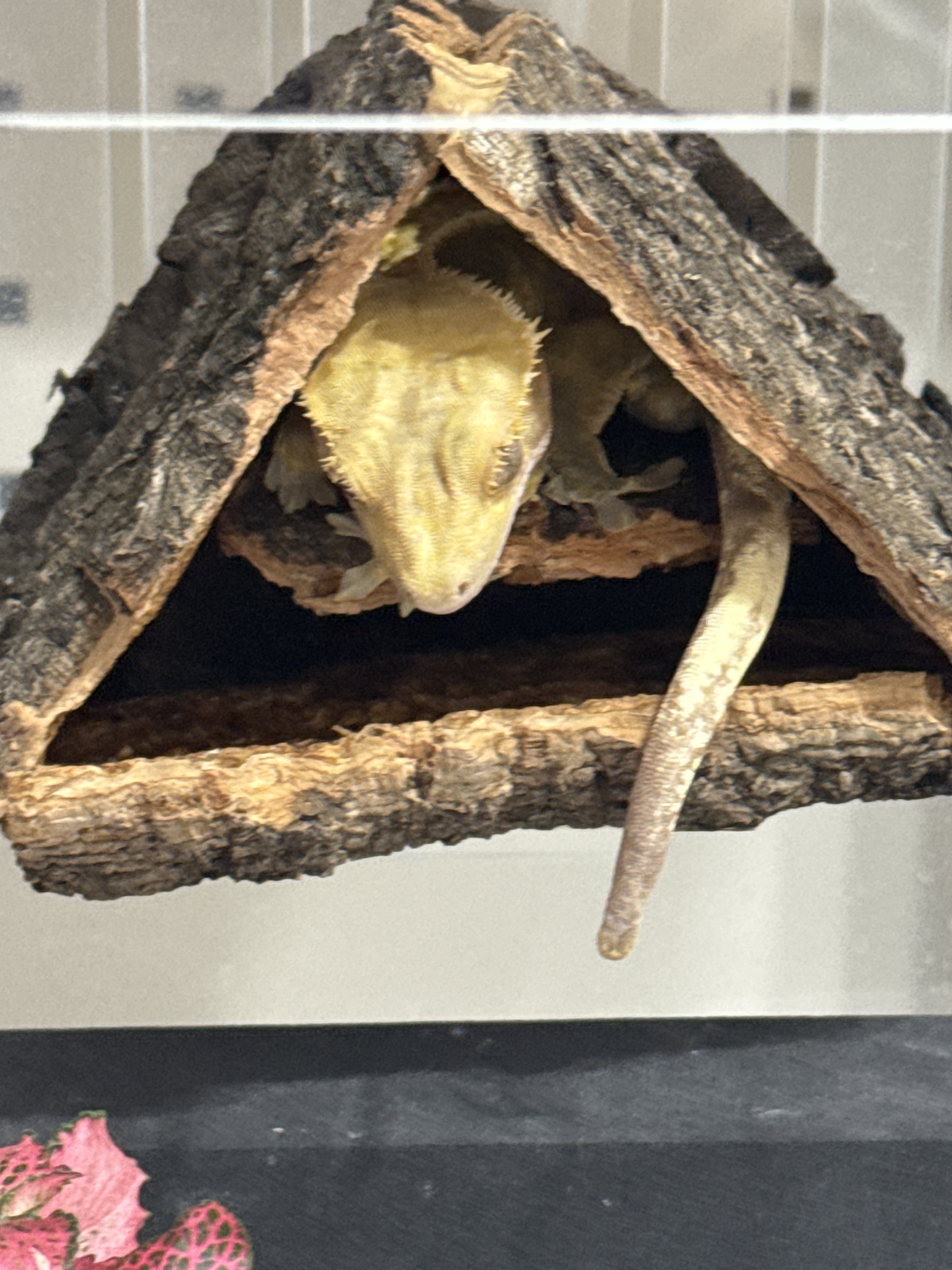 Terrablock Triangle Pension Hideout detail 4