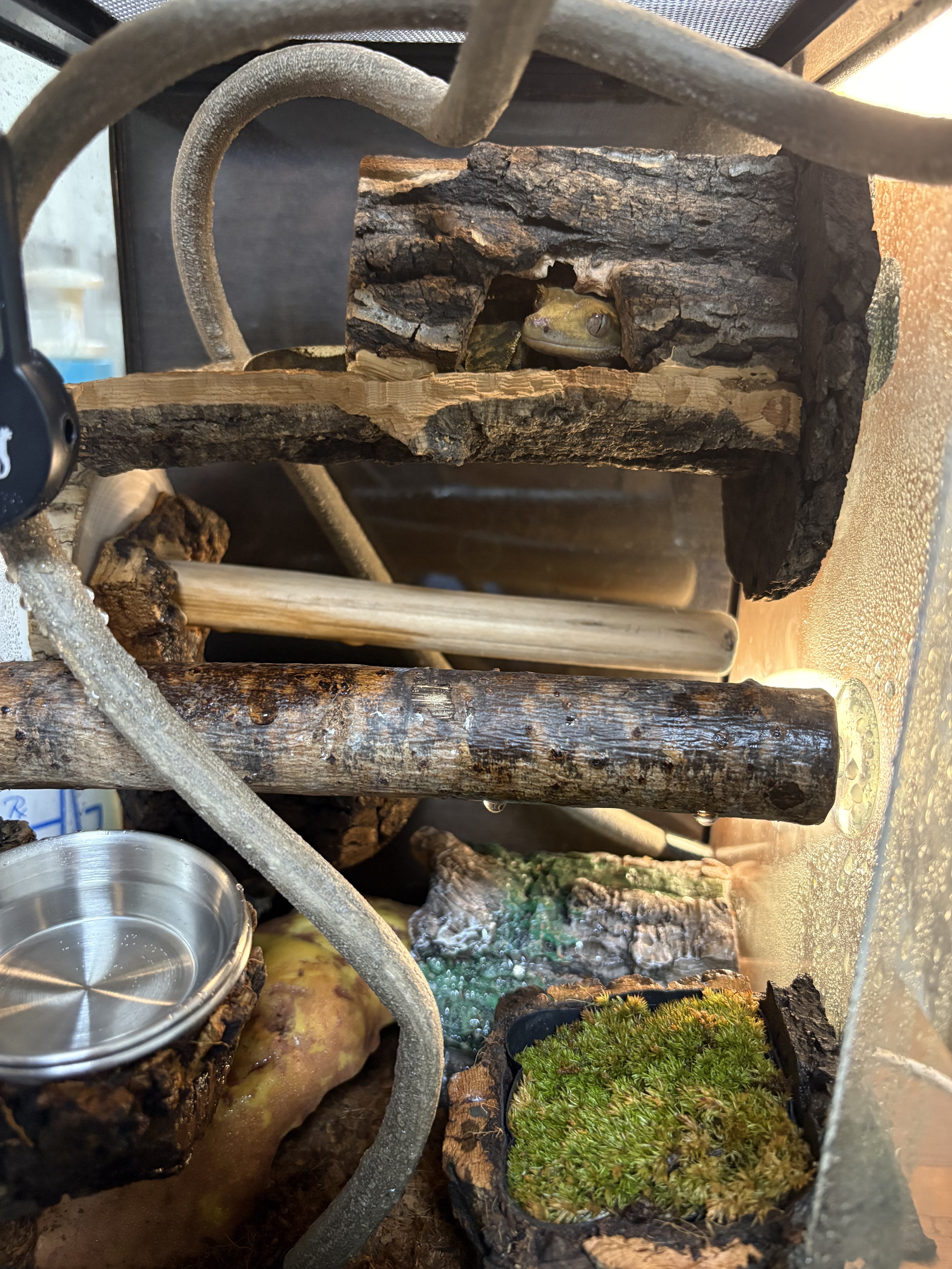 テラブロック ロングレッグ ロフトシェルター（隠れ家） detail 2