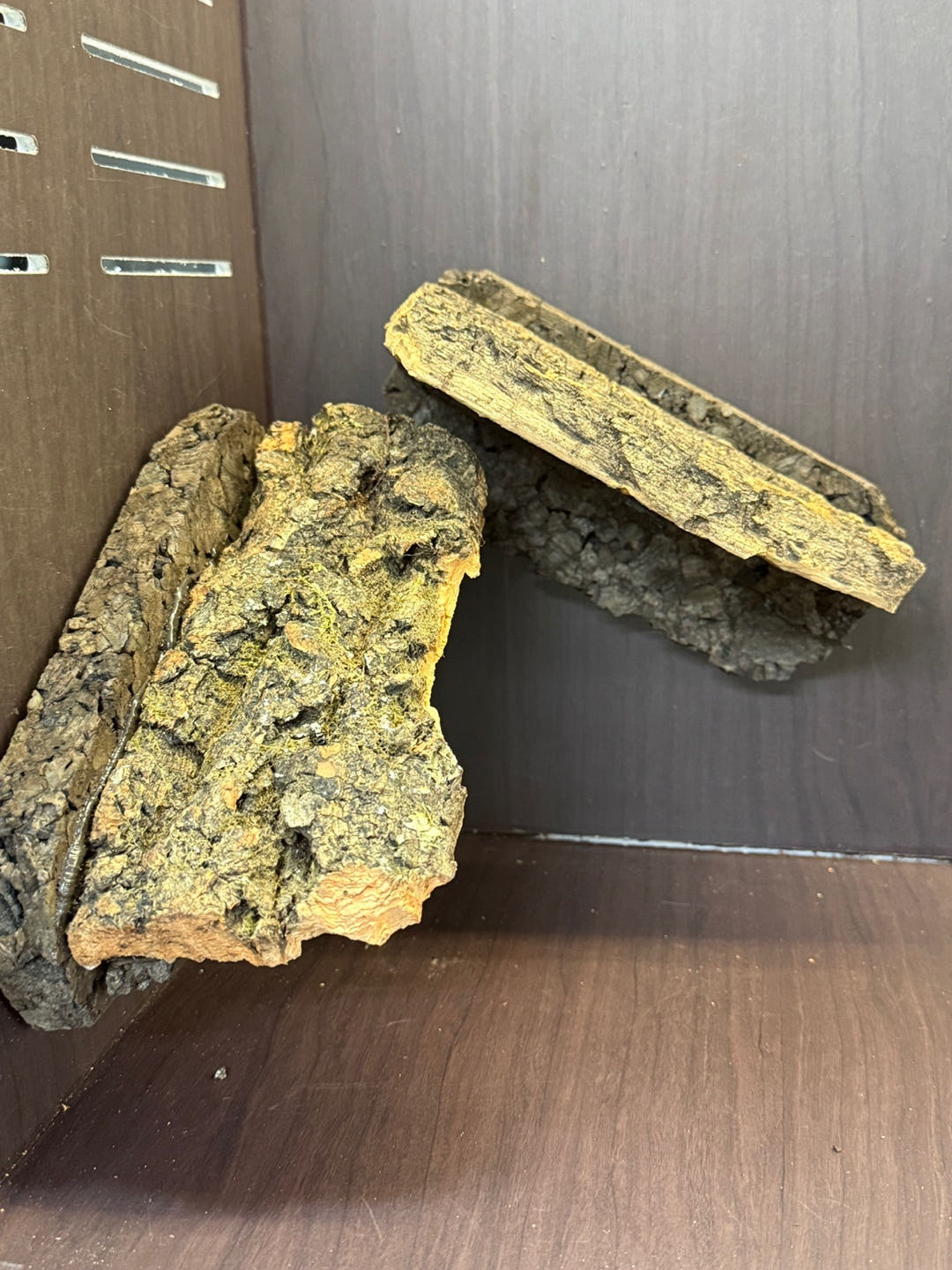 テラブロック ロングコルクフラットシェルター detail 1