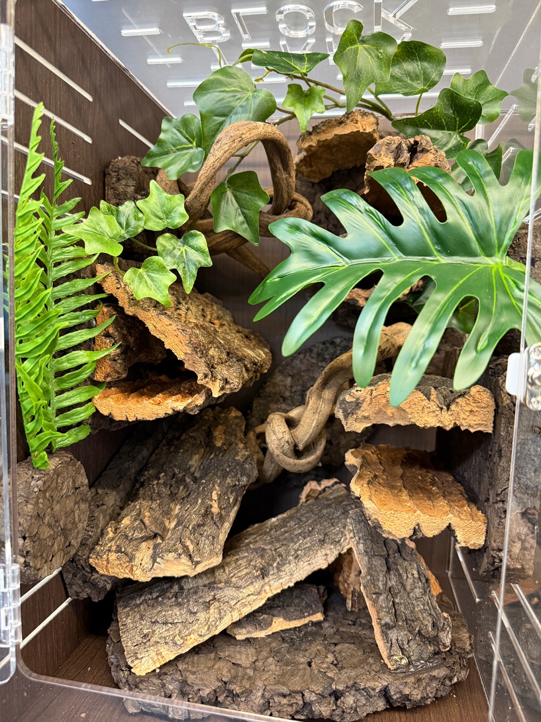 テラブロック ロングコルクフラットシェルター detail 3