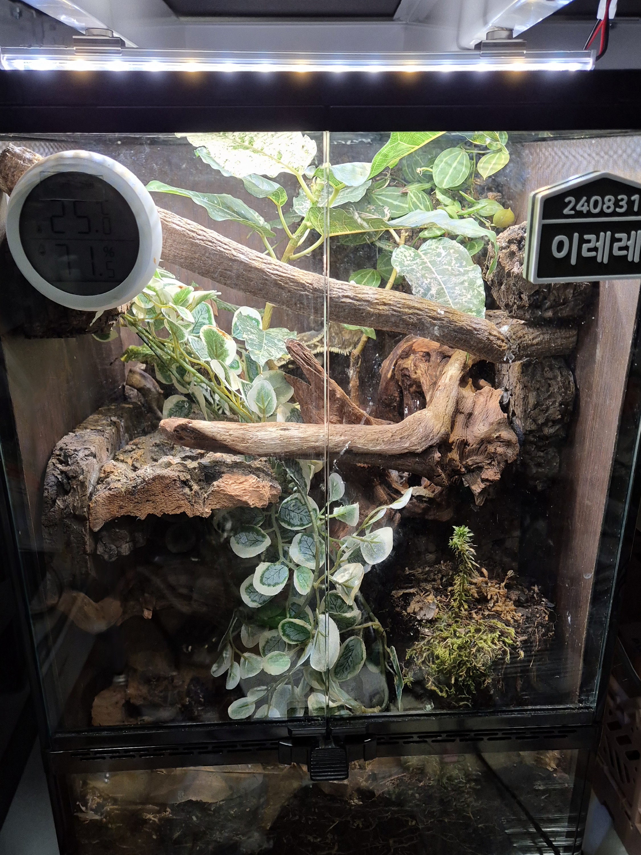 テラブロック ロングコルクフラットシェルター detail 4