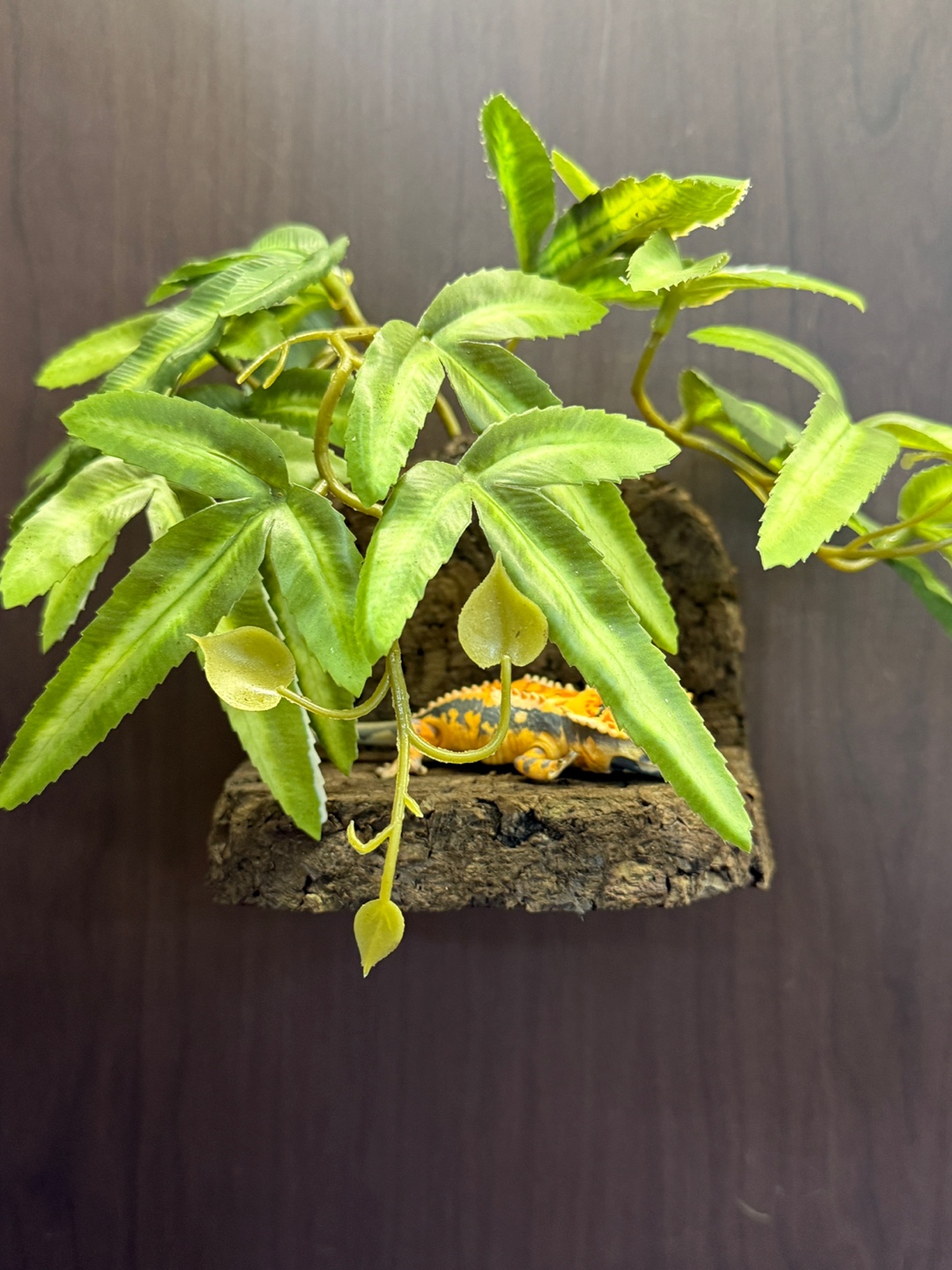 Terrablock Pouteris Bed Hide detail 1