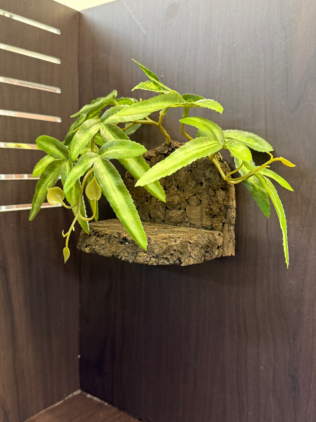 Terrablock Pouteris Bed Hide detail 2