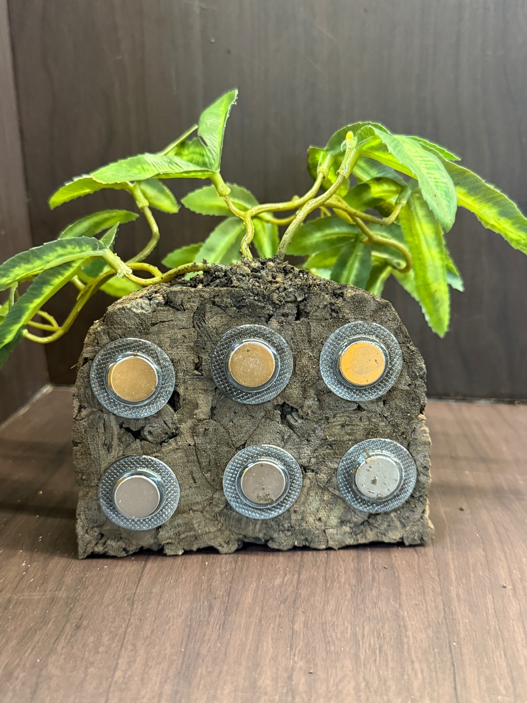 Terrablock Pouteris Bed Hide detail 4