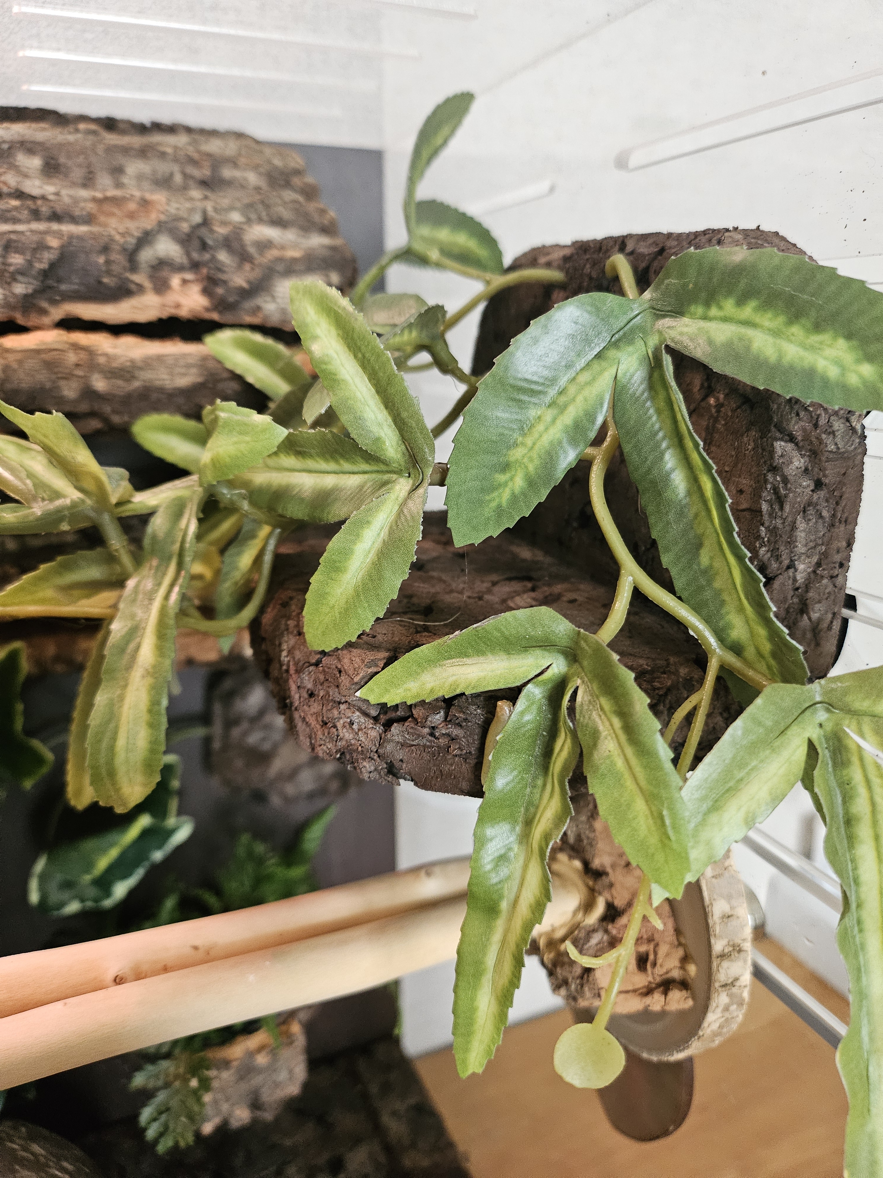 Terrablock Pouteris Bed Hide detail 5